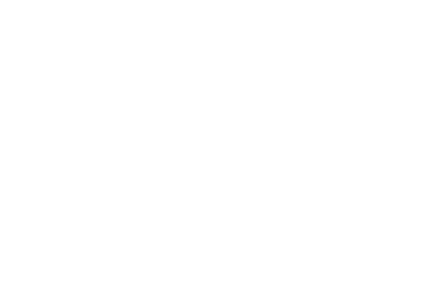 logo barb'a web